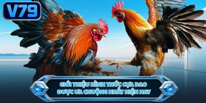 Giới thiệu hình thức cựa dao được ưa chuộng nhất hiện nay