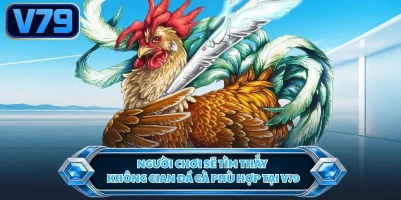 Người chơi sẽ tìm thấy không gian đá gà phù hợp tại V79