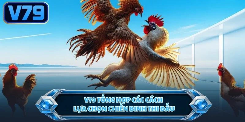 V79 tổng hợp các cách lựa chọn chiến binh thi đấu